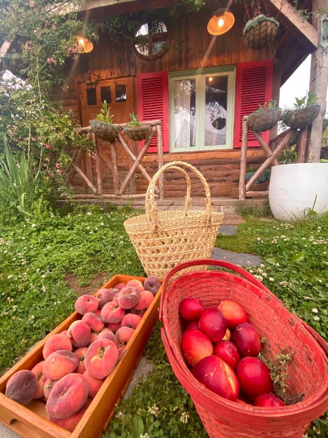Meena Bagh Ratnari- An Apple Orchard Bungalow Bagi Exteriér fotografie