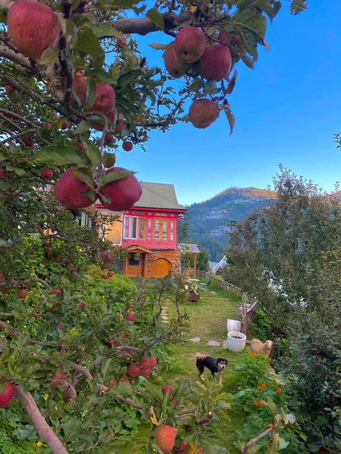 Meena Bagh Ratnari- An Apple Orchard Bungalow Bagi Exteriér fotografie