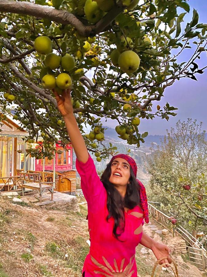 Meena Bagh Ratnari- An Apple Orchard Bungalow Bagi Exteriér fotografie